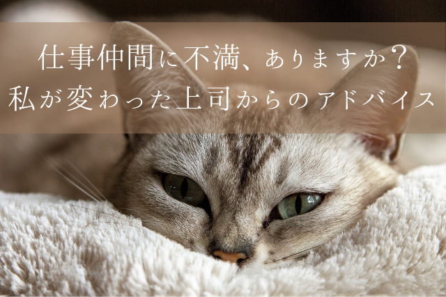 仕事仲間に不満 ありますか 私が変わった上司からのアドバイス クリアワークス 業務改善パートナー 愛知 名古屋